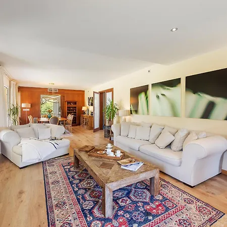 Deluxe Els Gorgs Villa